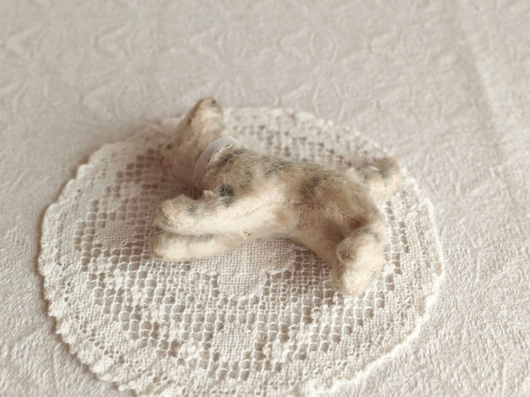 * antique bear ୨୧ * 小さくて可愛い トラ猫ちゃん