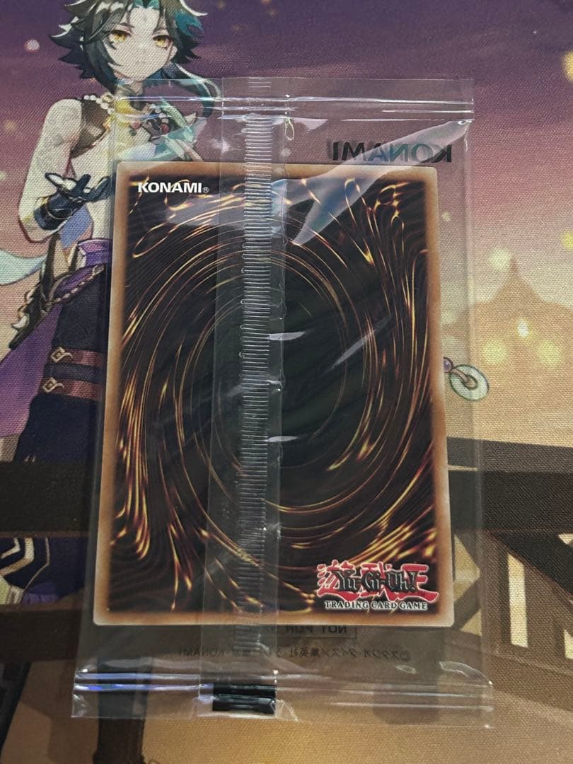 遊戯王OCG デュエルモンスターズ Dragon of IlluminationSanctuary's Shield