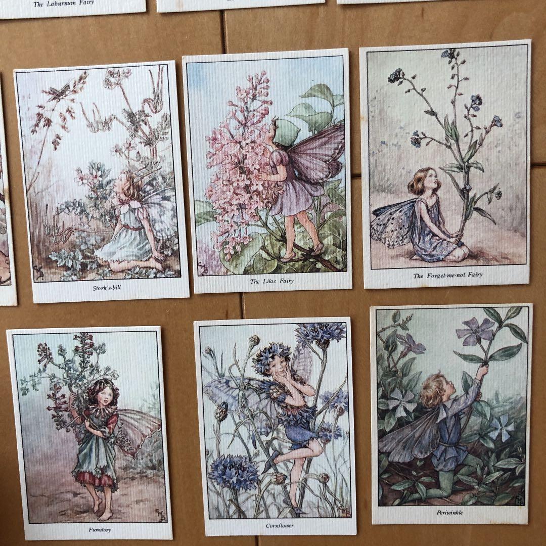 ハイクラウンチョコ　妖精カード　45枚　シシリーメアリーパーカー