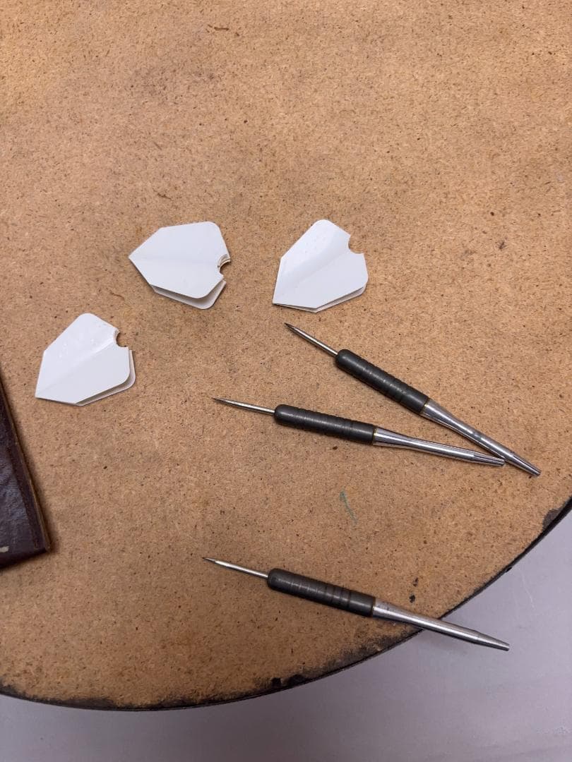 Bristle Dart Board Tournament Use　ブリッスル