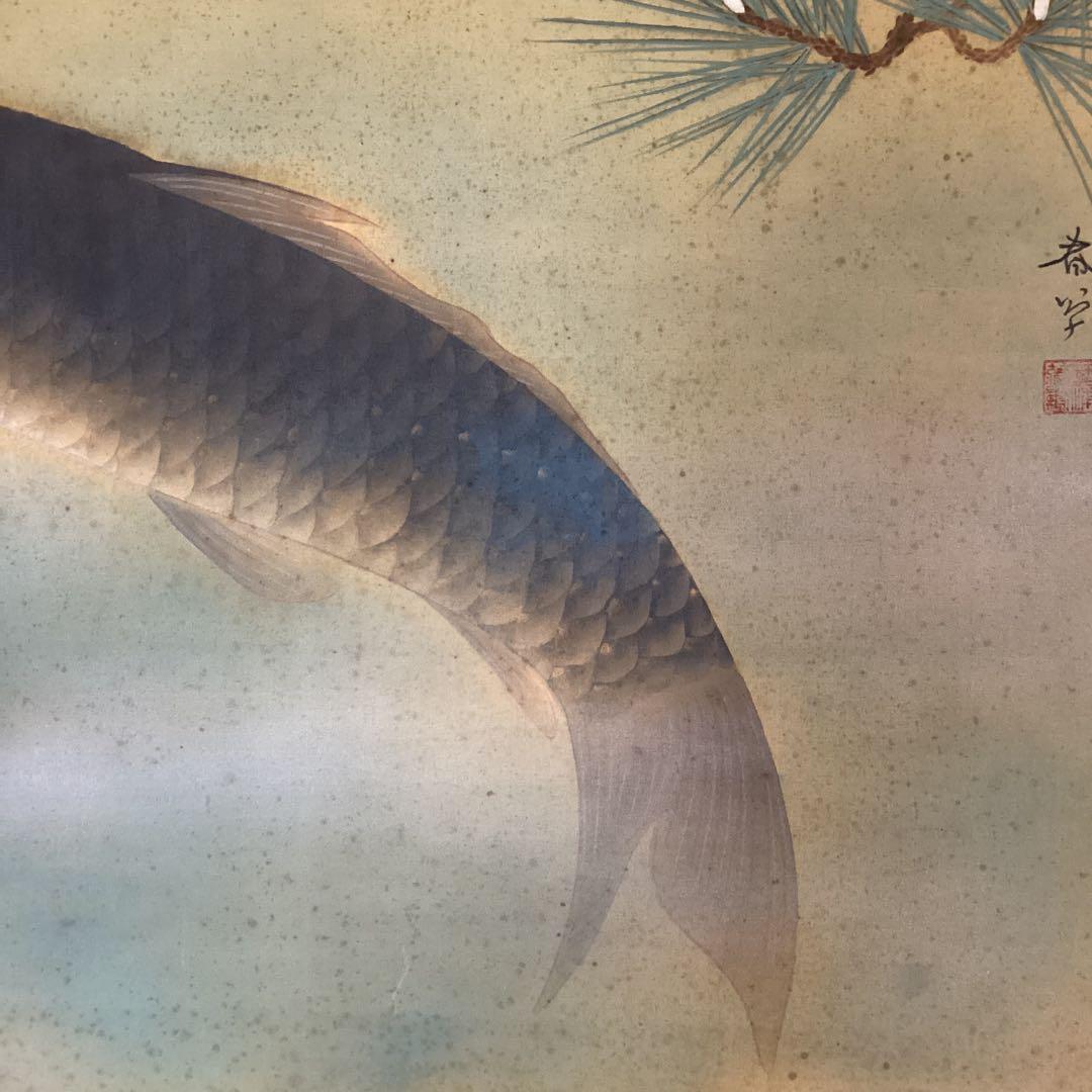 菱田春草　絹本横幅掛軸一幅　【　松　鯉　図　】自題箱　落款有軸先骨　模写　170