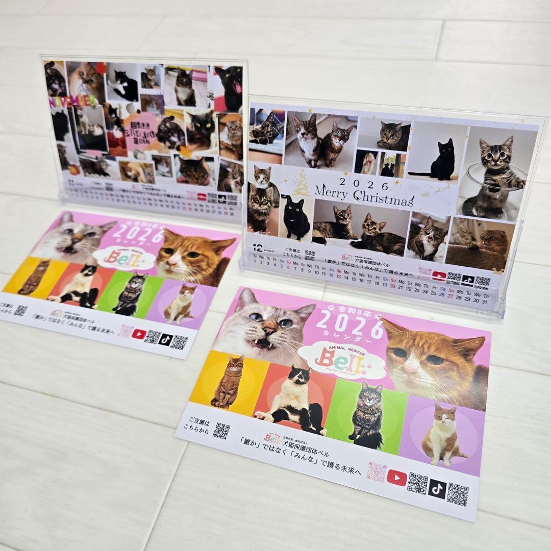 ③《猫》 卓上チャリティーカレンダー10枚セット