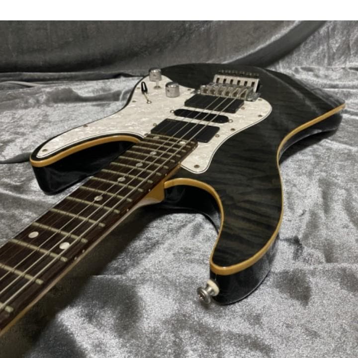 SCHECTER SD-2-24 BW Mod EMGピックアップ換装