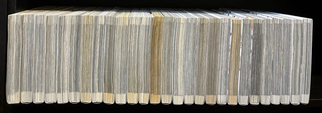 機動戦士ガンダム サンダーボルト 全巻セット