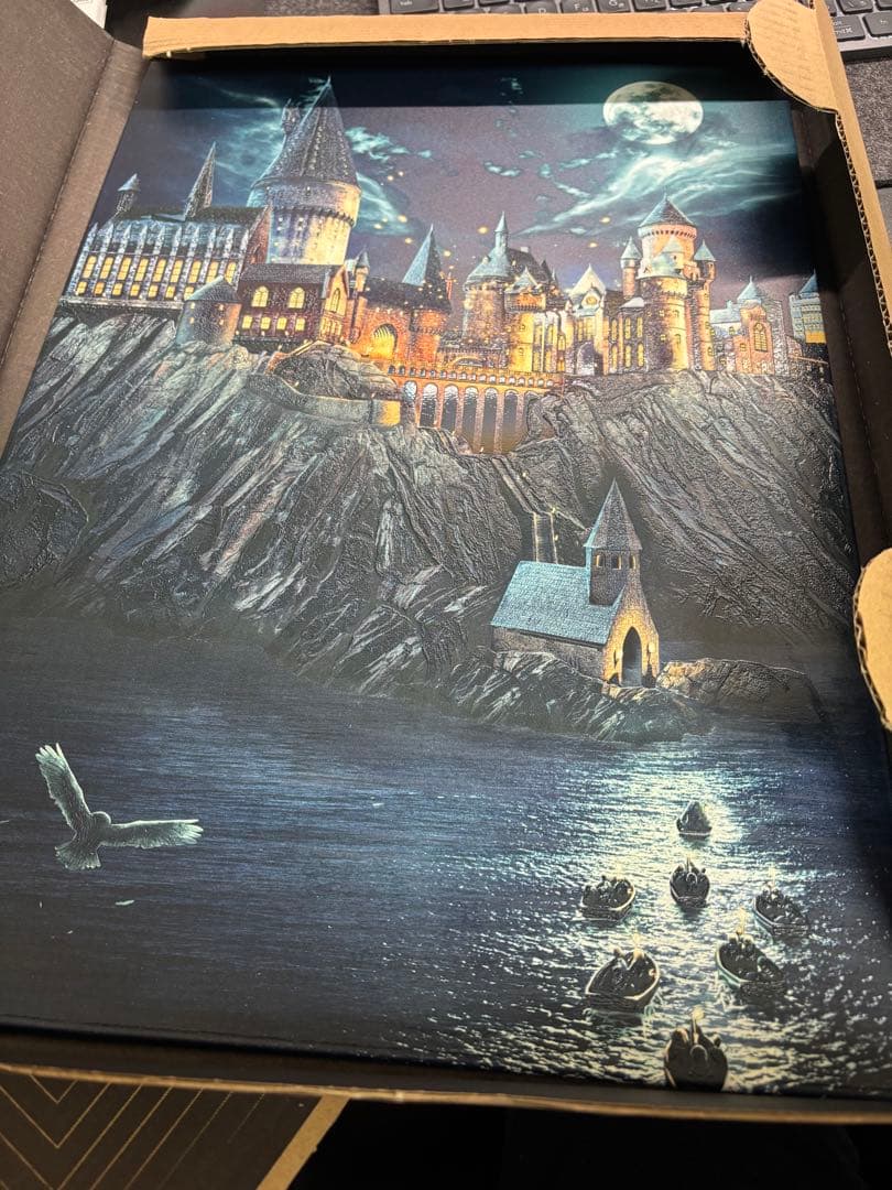 ハリー・ポッターDisplate Limited Edition チョウピラコ