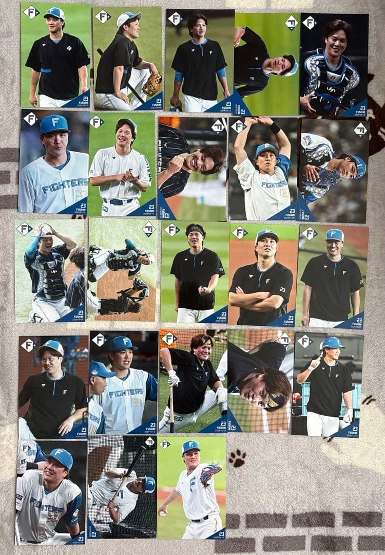 伏見寅威 ハイライトフォト 23枚セット