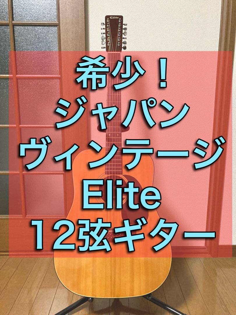 【希少！】Elite 12弦ギター WG25 ジャパンヴィンテージ アコギ