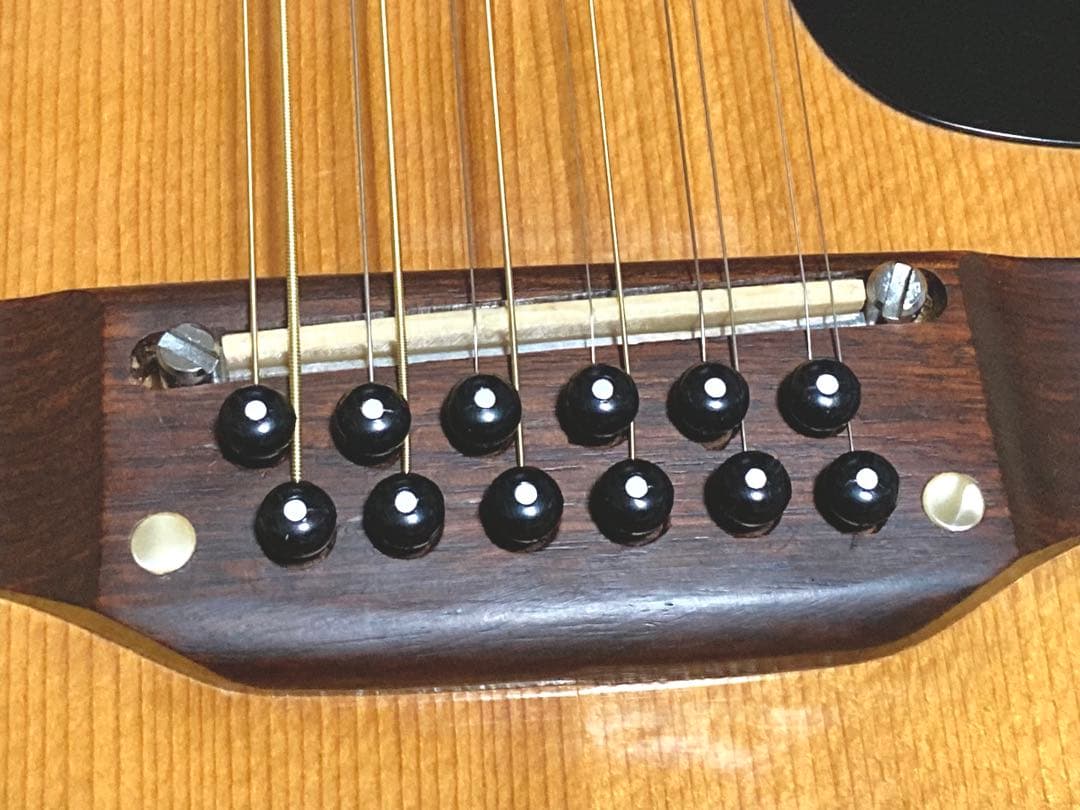 【希少！】Elite 12弦ギター WG25 ジャパンヴィンテージ アコギ