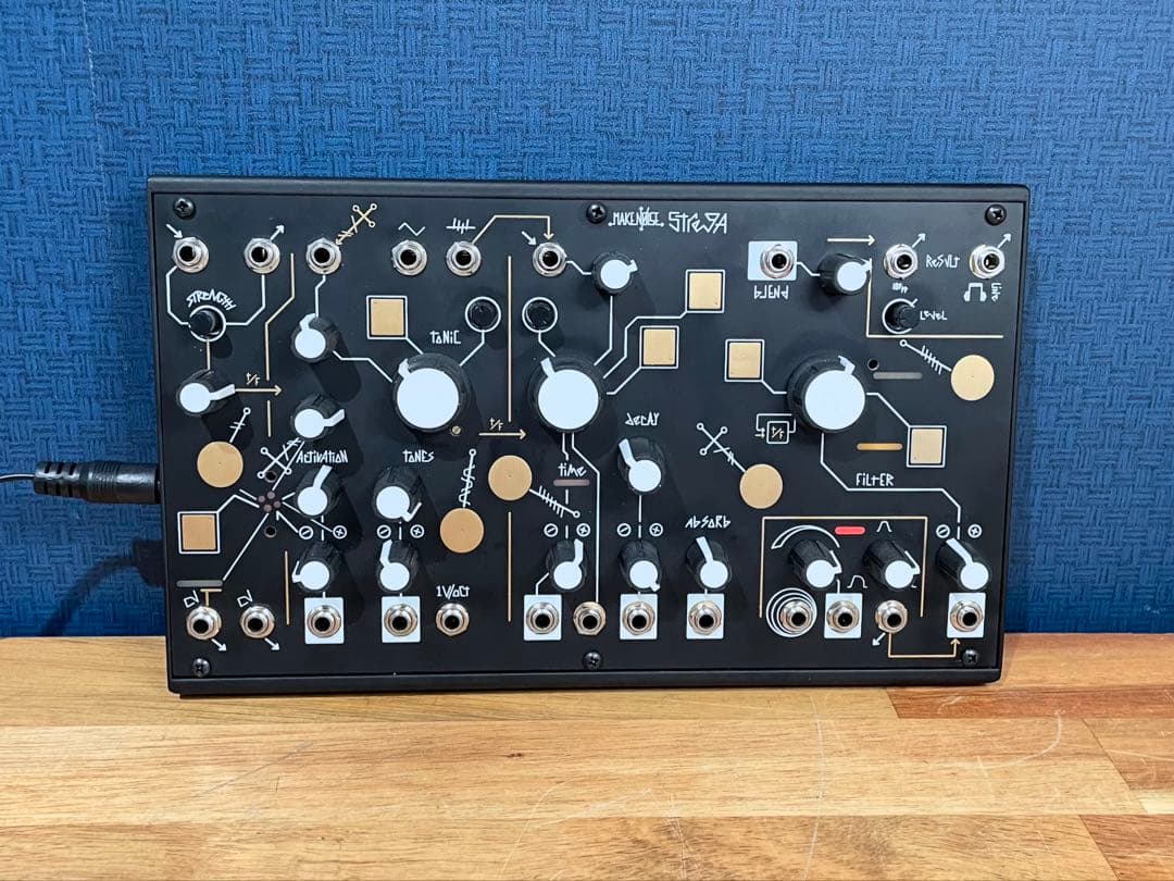 Make Noise Strega セミモジュラーシンセ