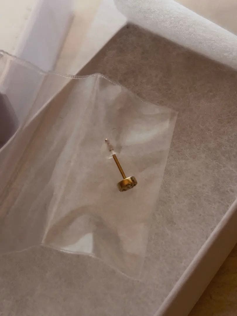 ラウンド型スタッドピアス ⭐︎ポンテヴェッキオ