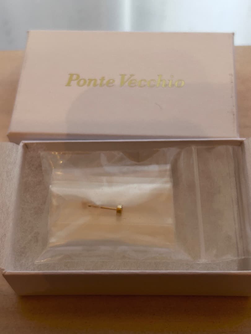 ラウンド型スタッドピアス ⭐︎ポンテヴェッキオ