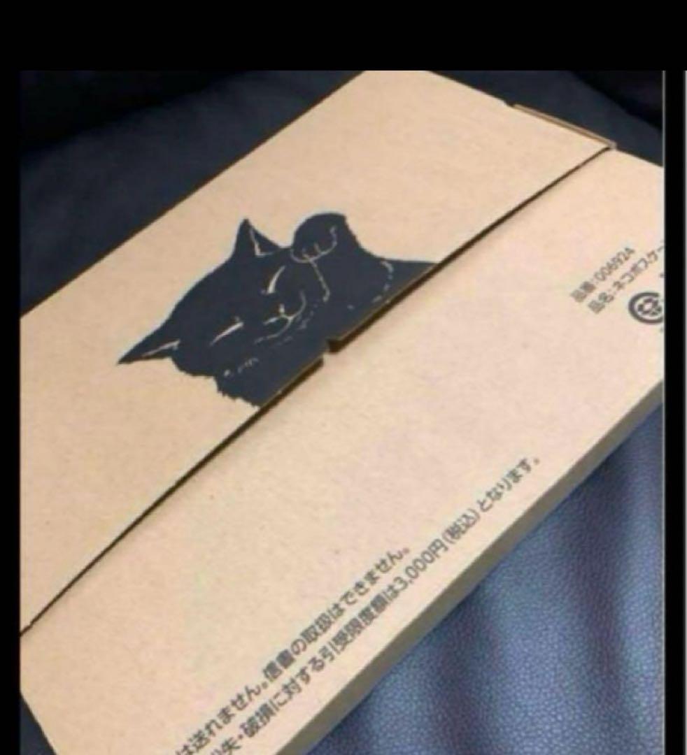 超レアピカチュウ記念ICOCA台紙付きデポジットのみ電車