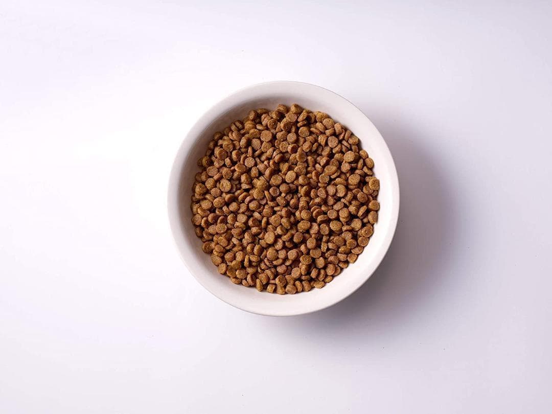 ソルビダ　グレインフリー　チキン室内飼育７歳以上用　5.8kg【2個おまけ付き】