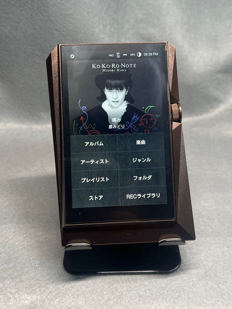 Astell&Kern AK380 256GB とモジュールセット