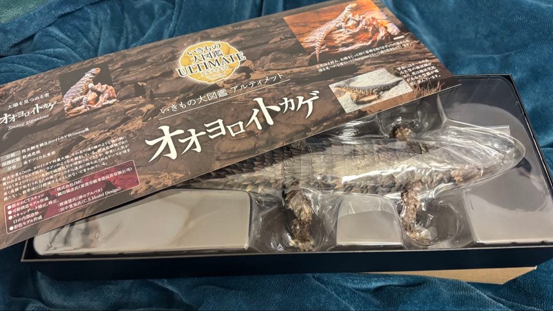 いきもの大図鑑アルティメット　オオヨロイトカゲ