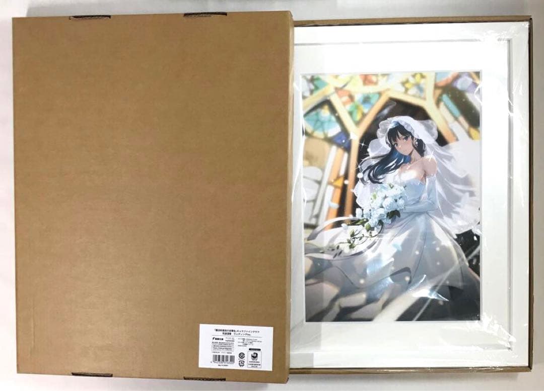 #8479 【未使用】 魔法科高校の劣等生 キャラファイングラフ 司波深雪