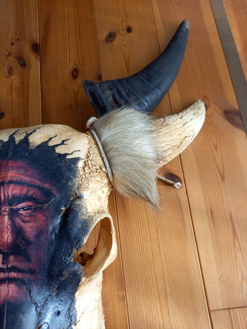 #バッファロースカル　#牛頭骨　#オブジェ　牛骨　2個セット