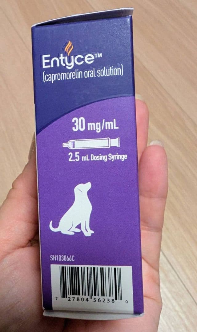 [新品、未開封] エンタイス 15mL Entyce 食欲刺激剤 犬用1本B