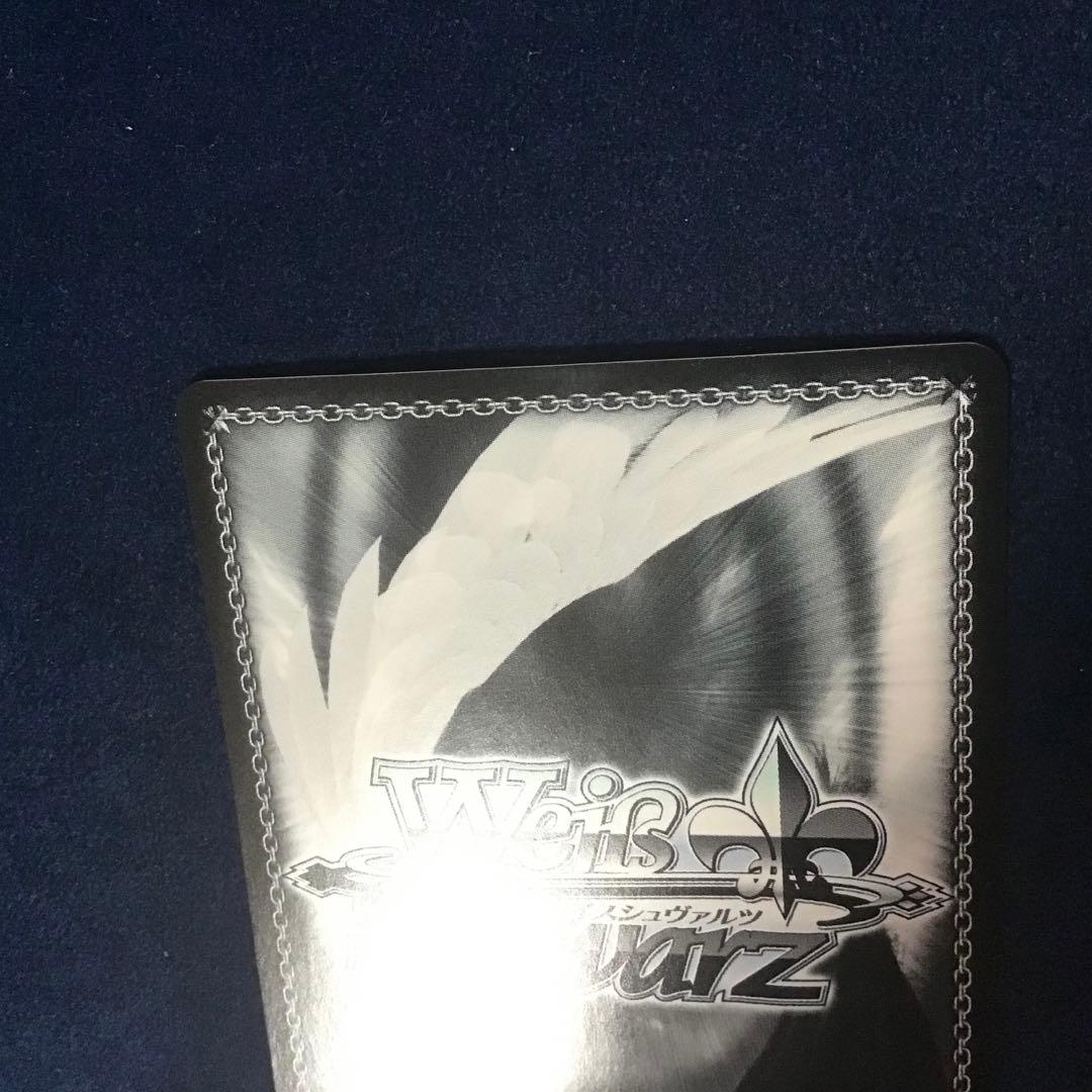 ヴァイスシュヴァルツ　レーゲンスブルク SP サイン