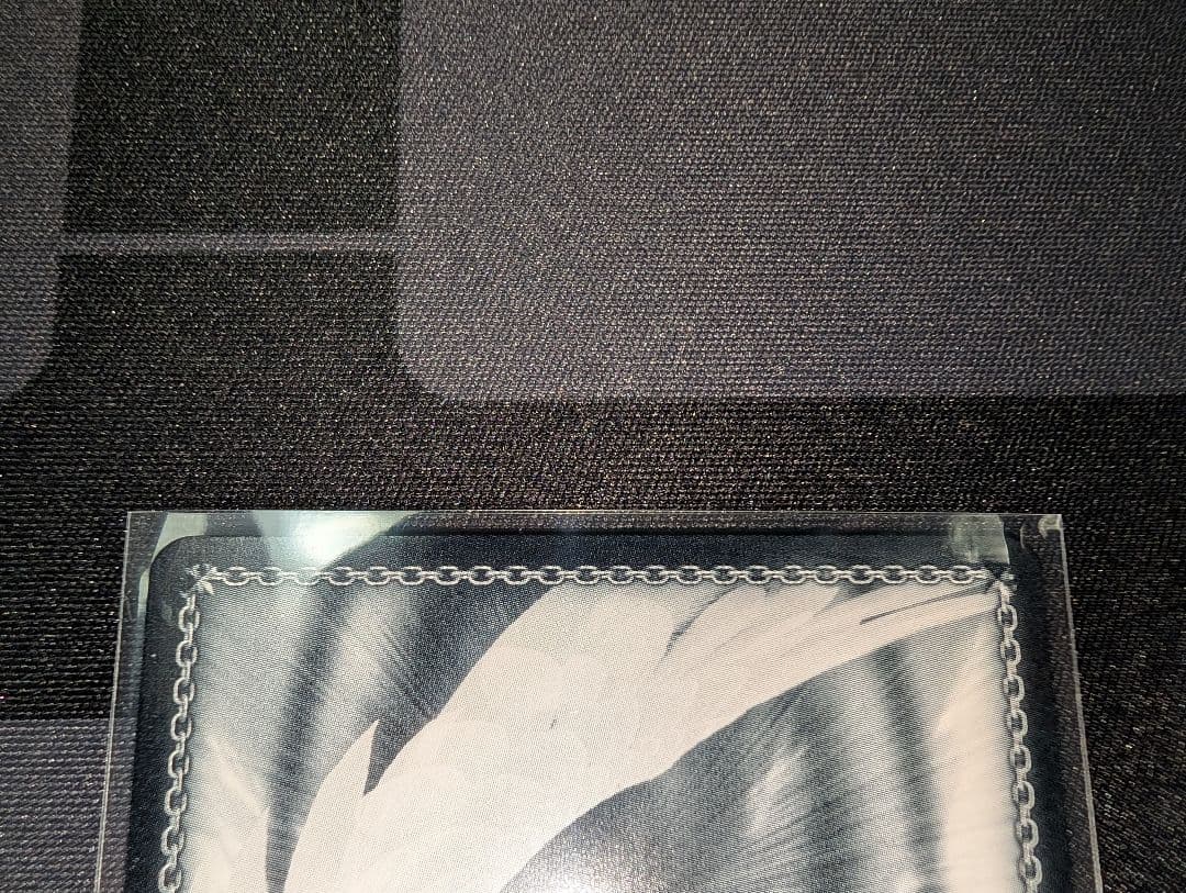 ヴァイスシュヴァルツ 対策委員会 アヤネ SP WS ブルーアーカイブ