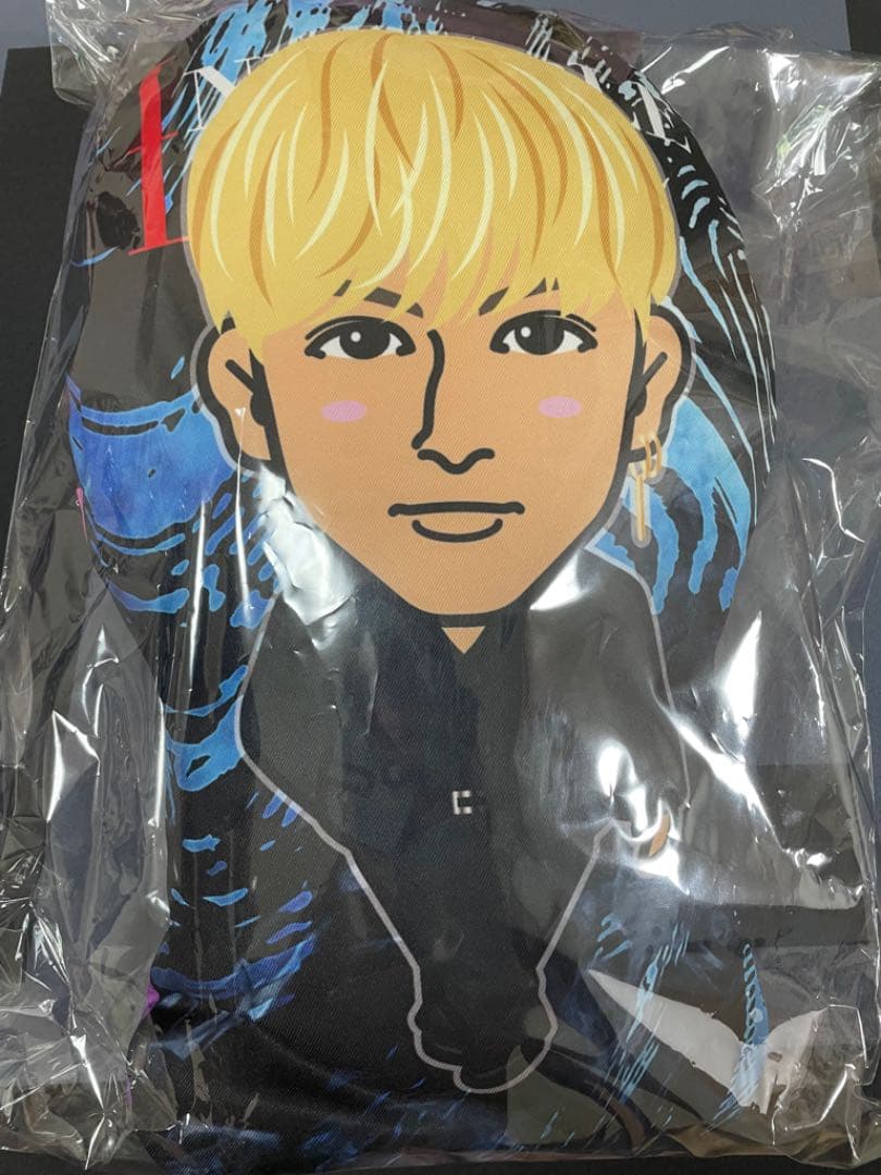 藤原樹　クッション