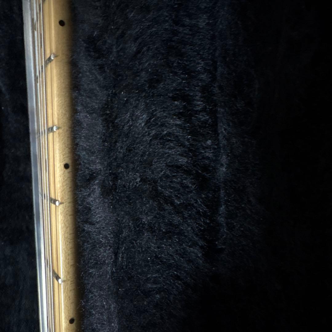 Fender Stratocaster エリッククラプトン　ブラッキー