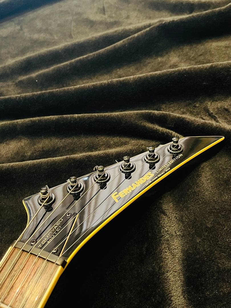 FERNANDES TE-95HT 布袋寅泰モデル