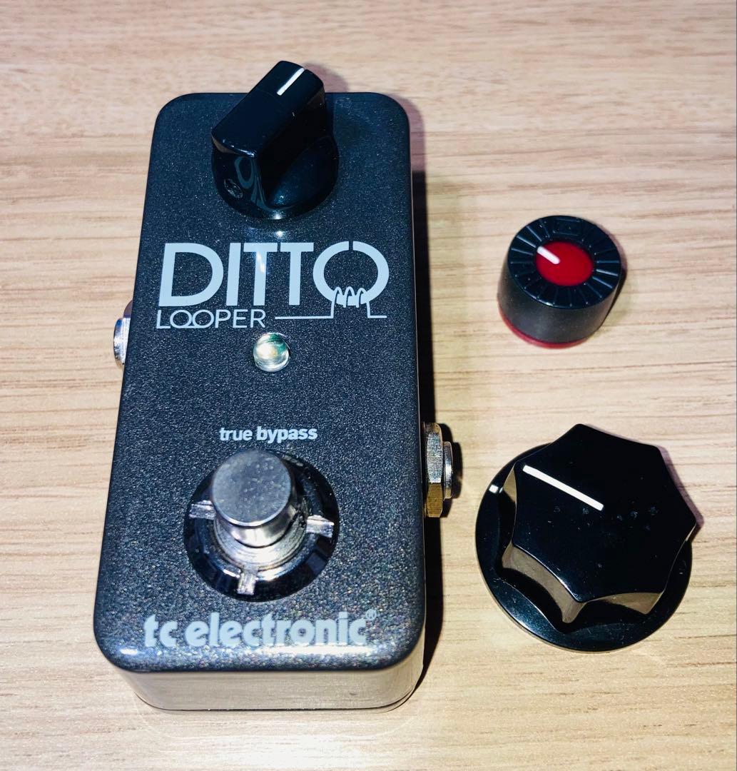 tc electronic DITTO LOOPER(おまけ有り)