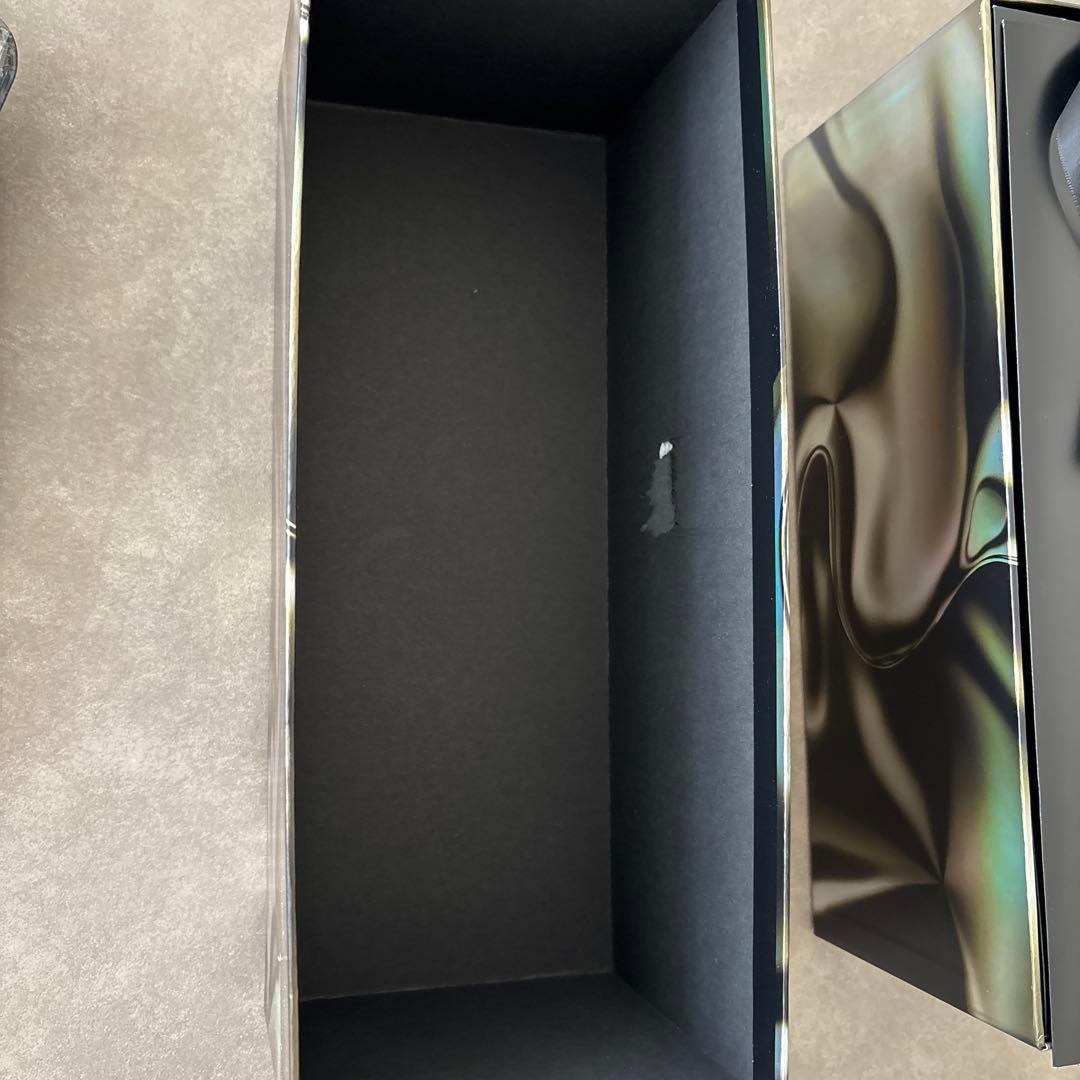 レディーガガ　ドンペリ2010