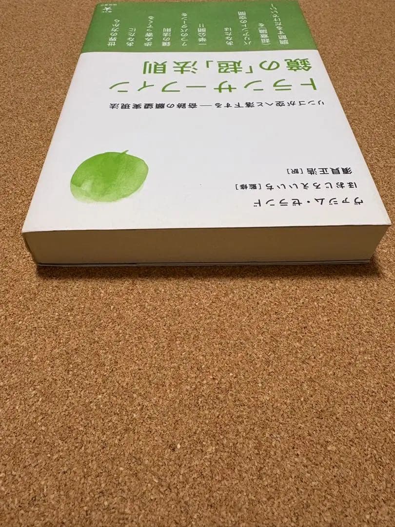 トランサーフィン 鏡の「超」法則