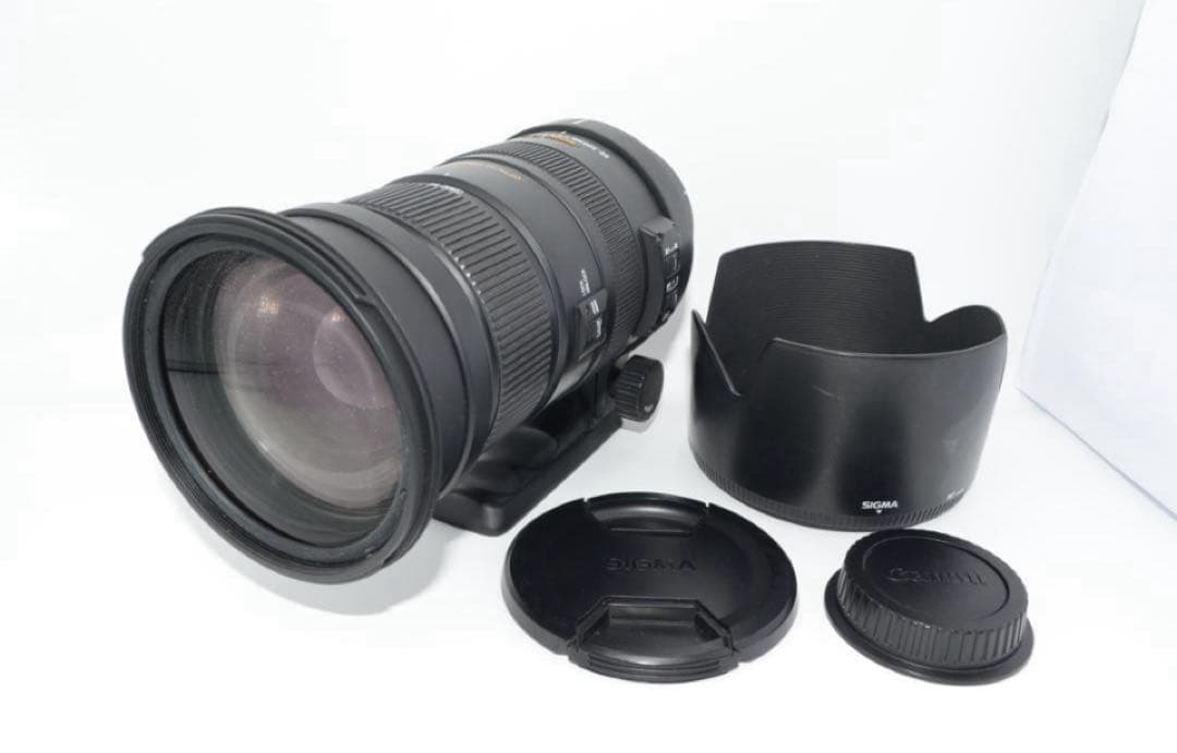 レンズ(ズーム) SIGMA APO 50-500mm F4.5-6.3 DG OS HSM