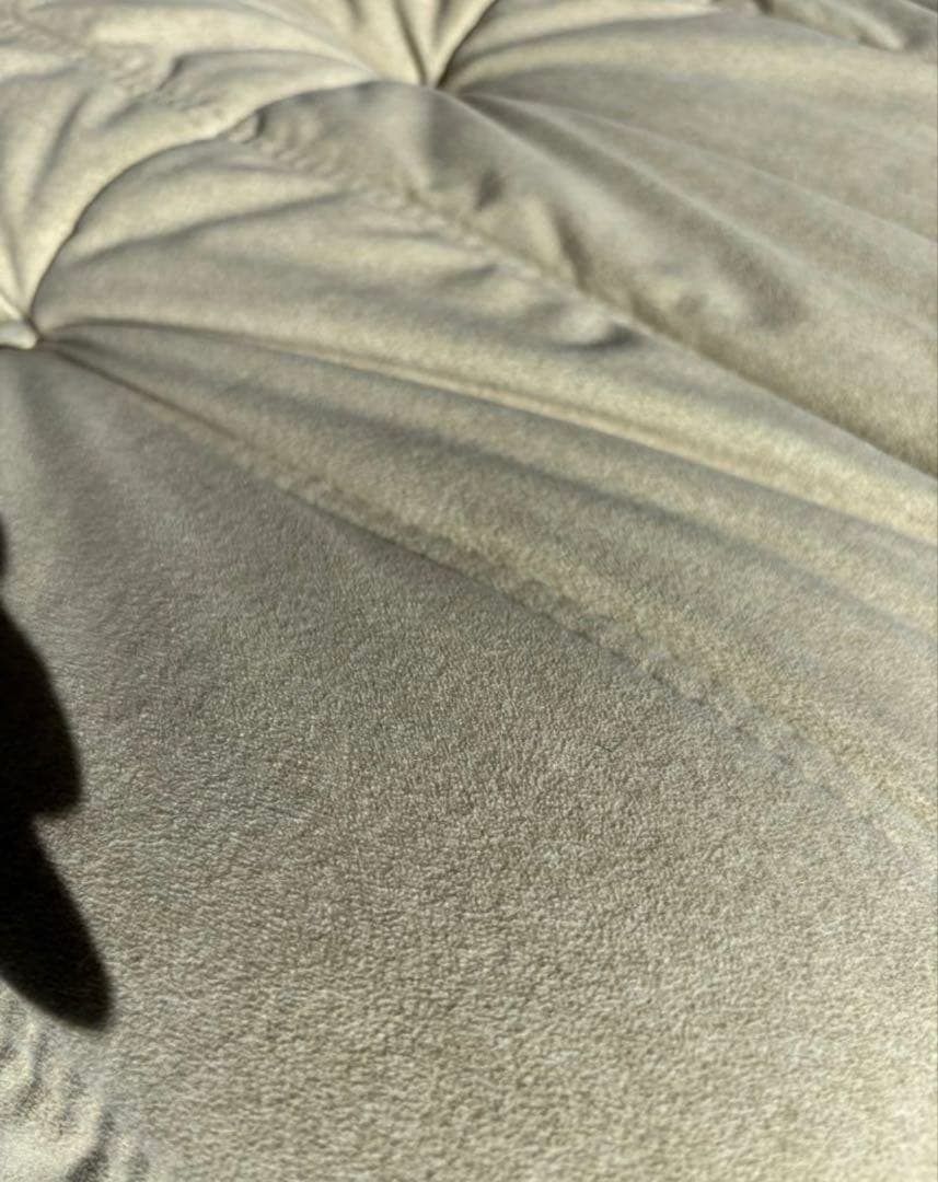 リーンロゼ　50th DENDEN パフ