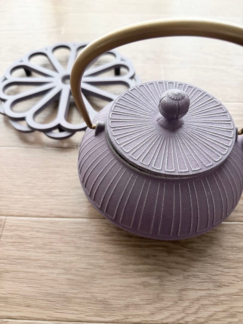 アンシャンテジャポン　カラーポット　敷セット 南部鉄器　限定