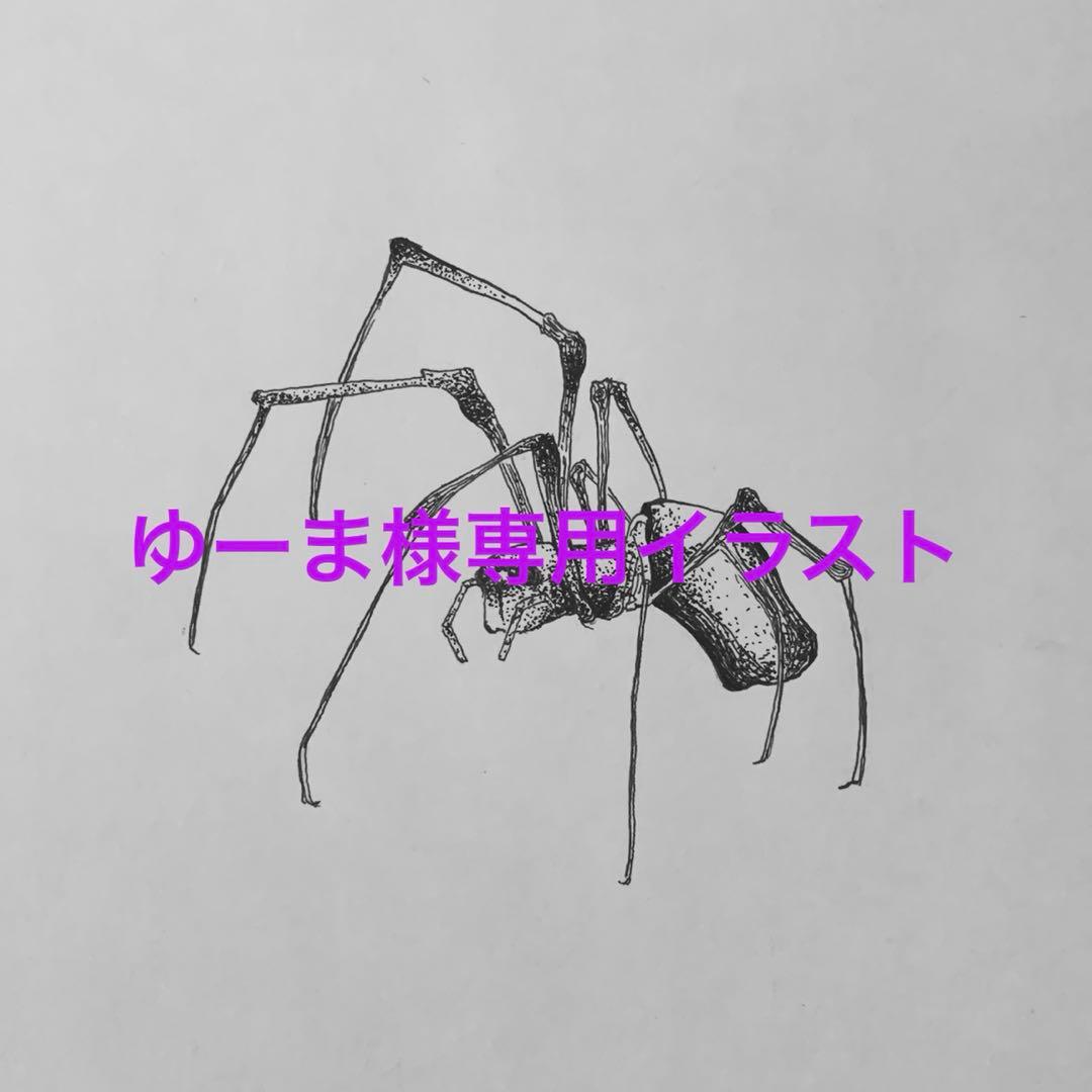 ゆーまイラスト