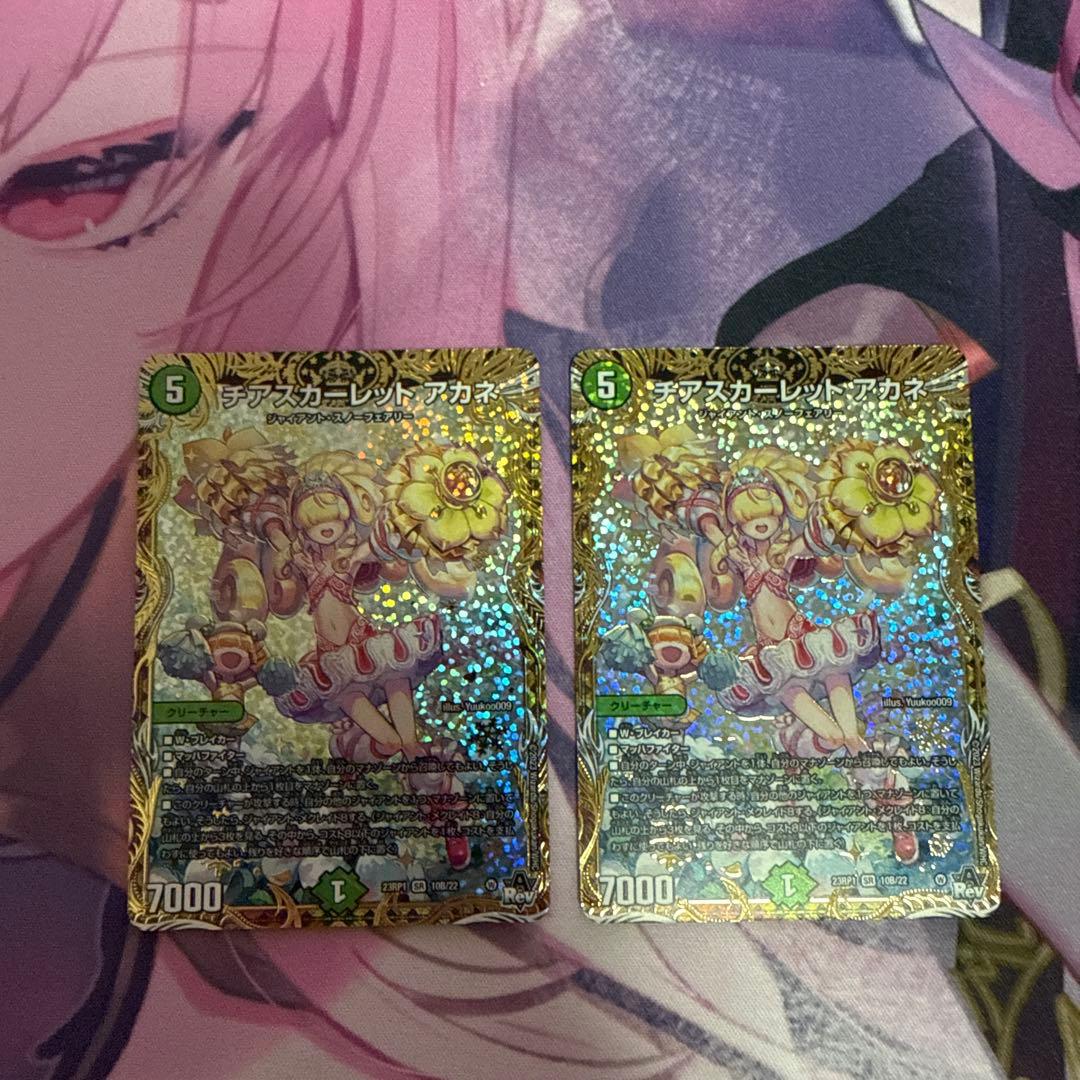 チアスカーレット アカネ　b 2枚セット
