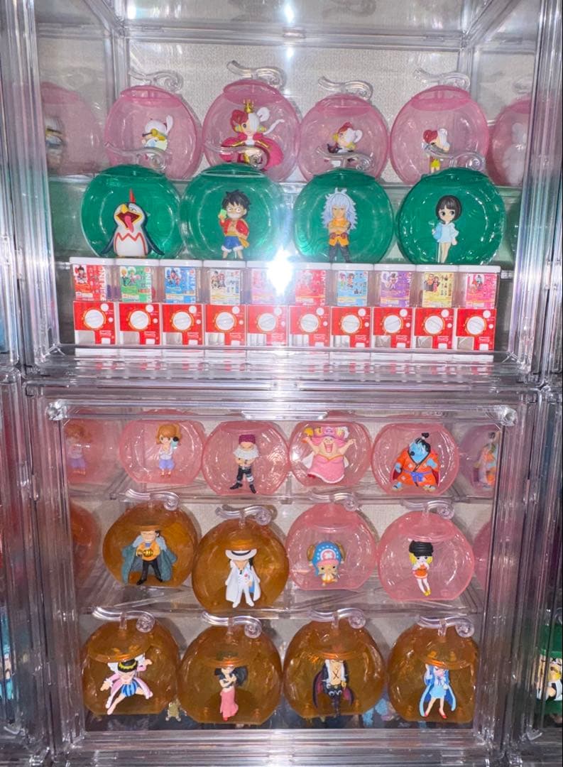 ワンピの実　フルコンプセット