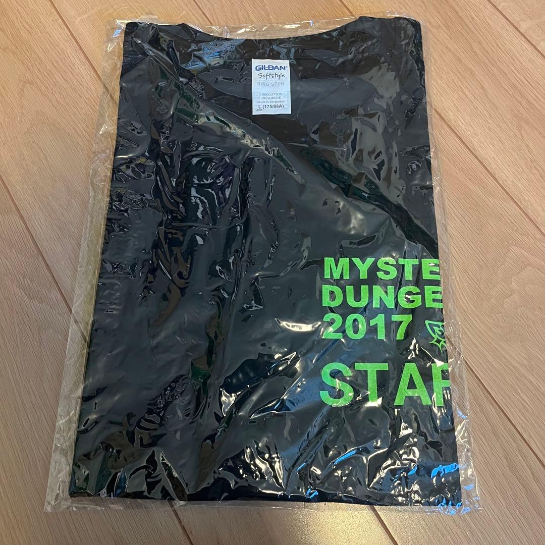 GReeeeN ライブスタッフTシャツ GRe4N BOYZ