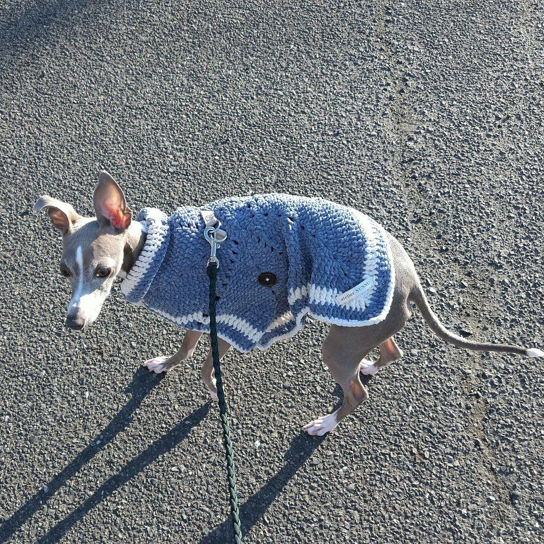 星形ケープコート　ブルー&グレー