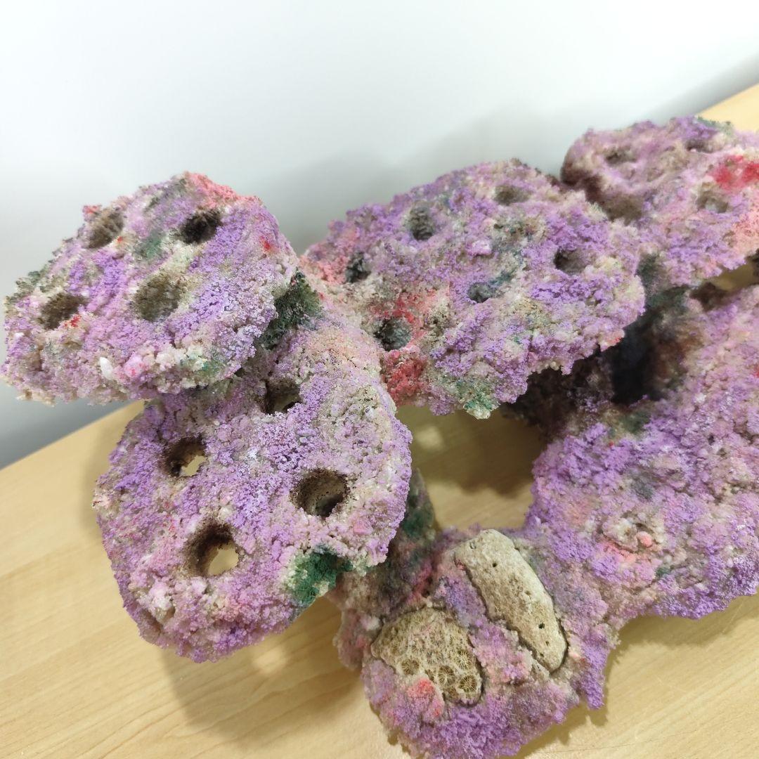 ✐プラグ穴付き 新品 人工ライブロック 60cm海水水槽用 レプリカ 安い1