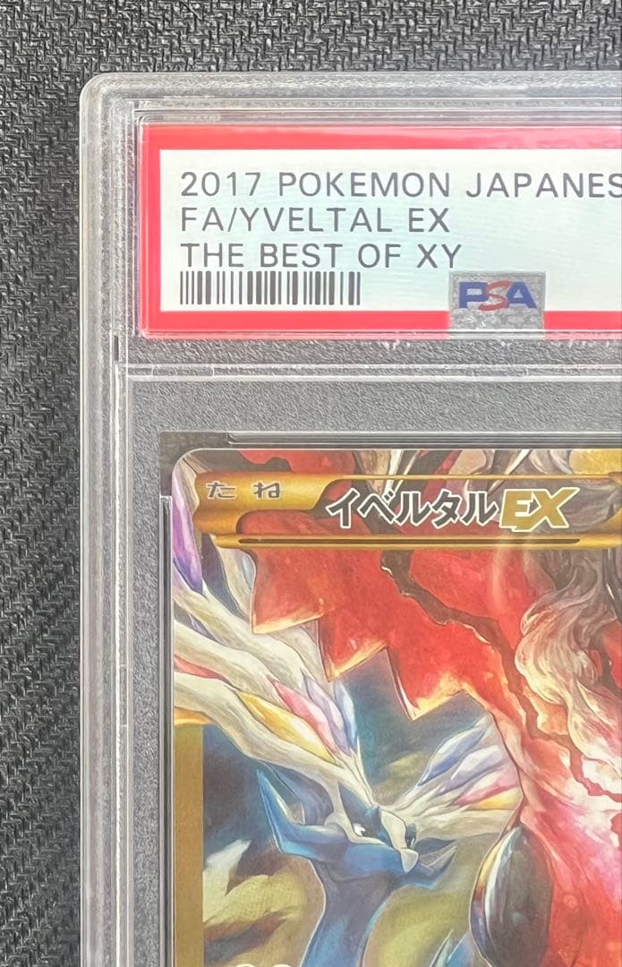 イベルタルEX UR PSA10