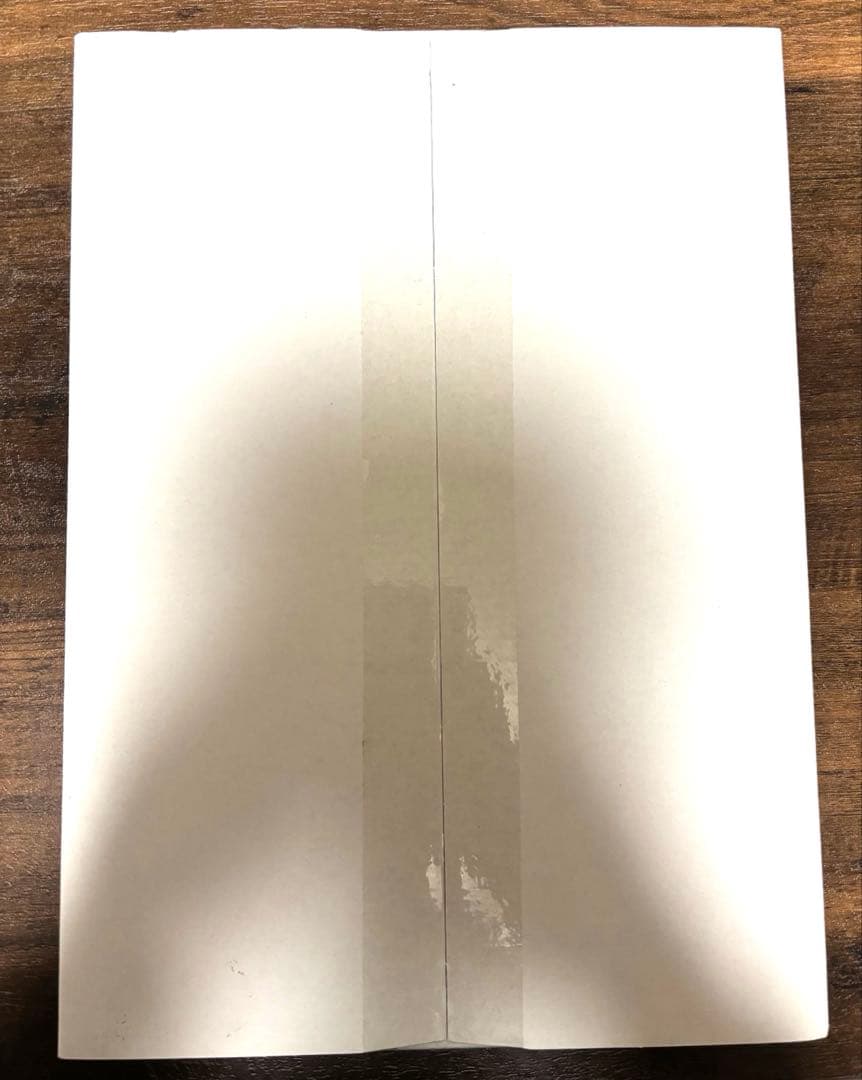 D.Gray-man 原画展　 箔入りアクリルアート　アレン&ネア