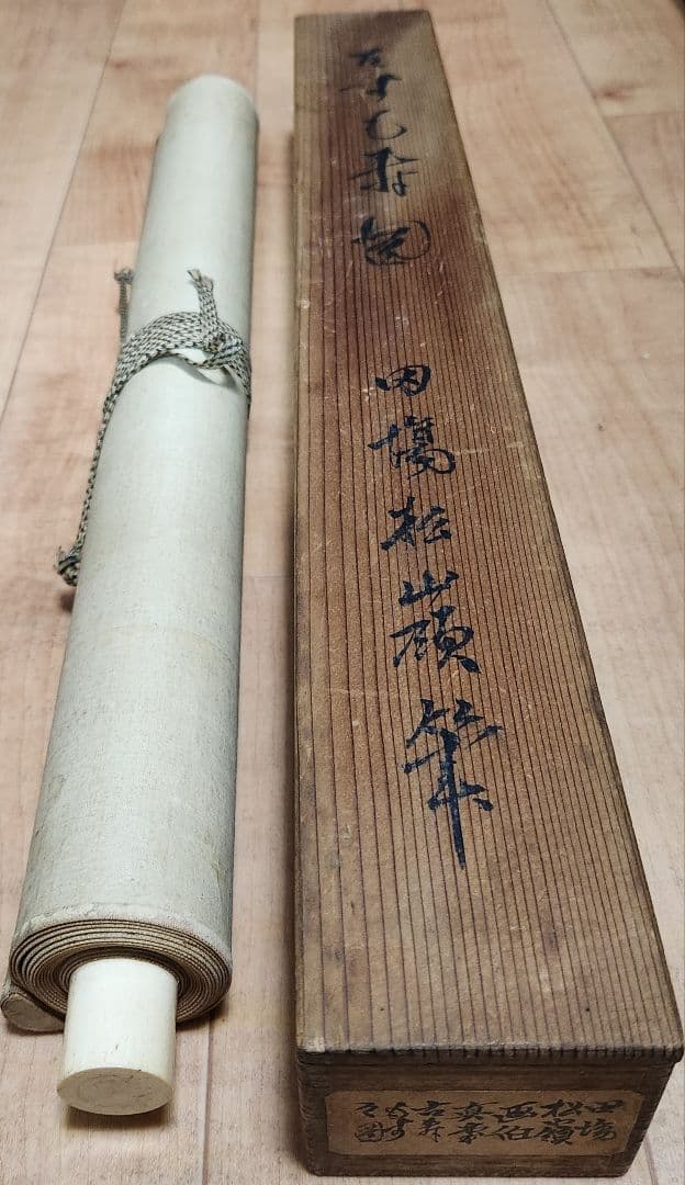 【コスモス図】田場松嶺 2670 掛け軸　肉筆