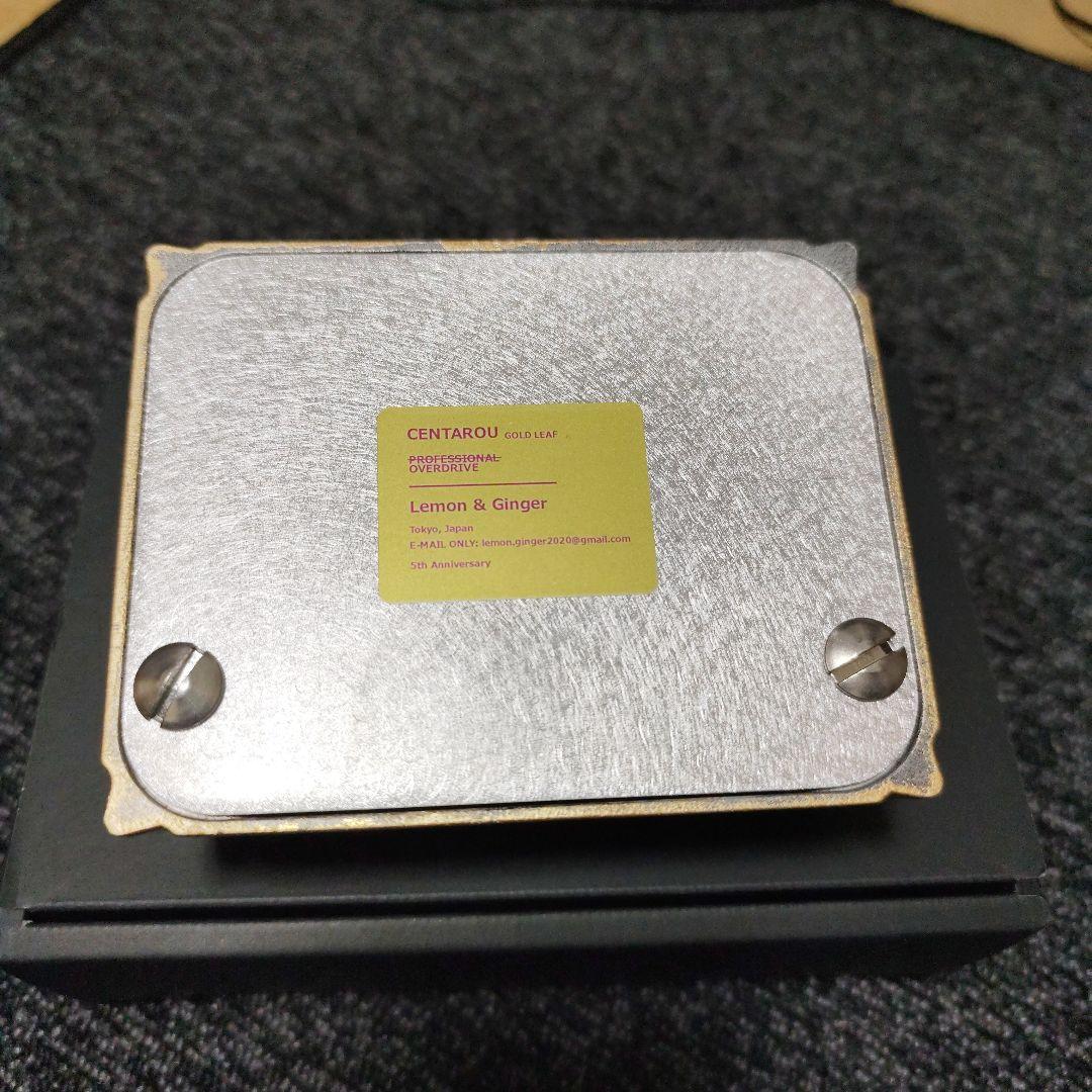 Lemon & Ginger けんたろう　5周年記念モデル