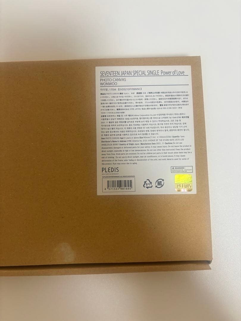 SEVENTEEN あいのちから　フォトキャンバス　ウォヌ