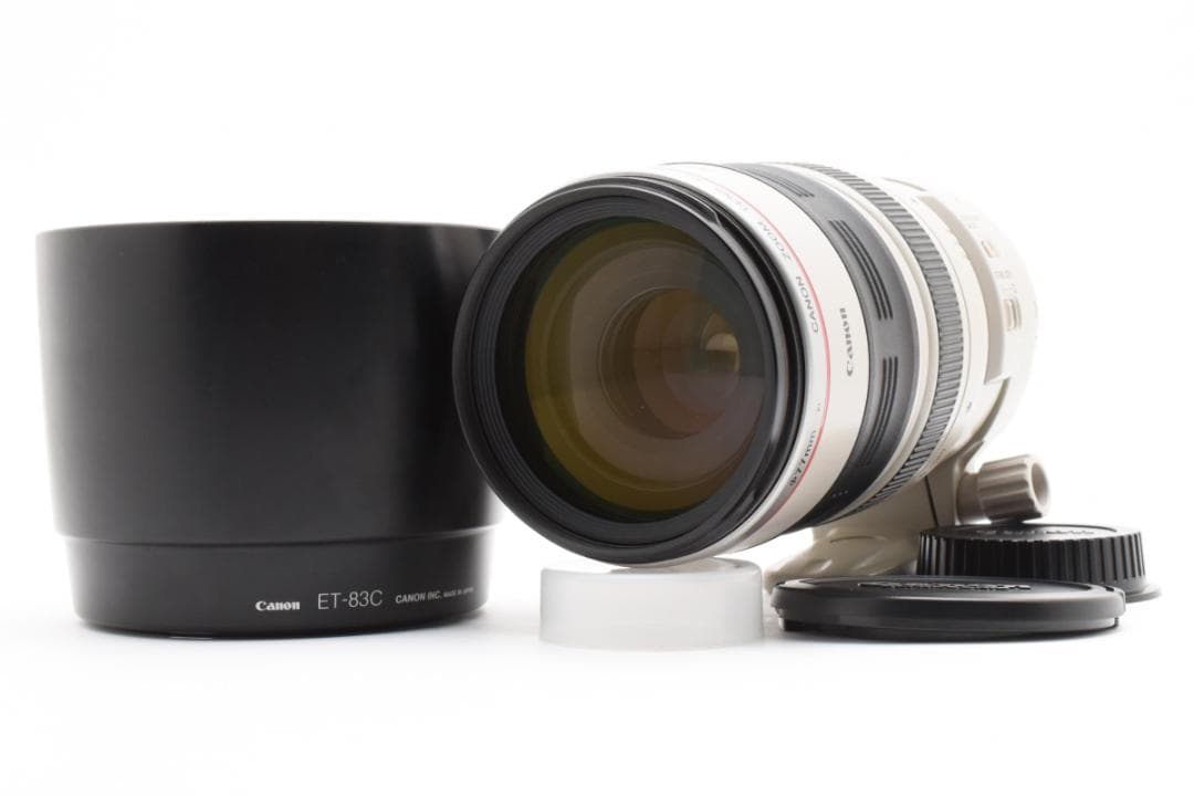 ★美品★Canon EF 100-400mm F4.5-5.6 L IS USM