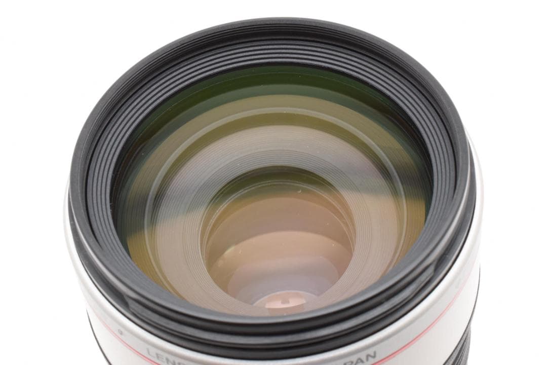 ★美品★Canon EF 100-400mm F4.5-5.6 L IS USM