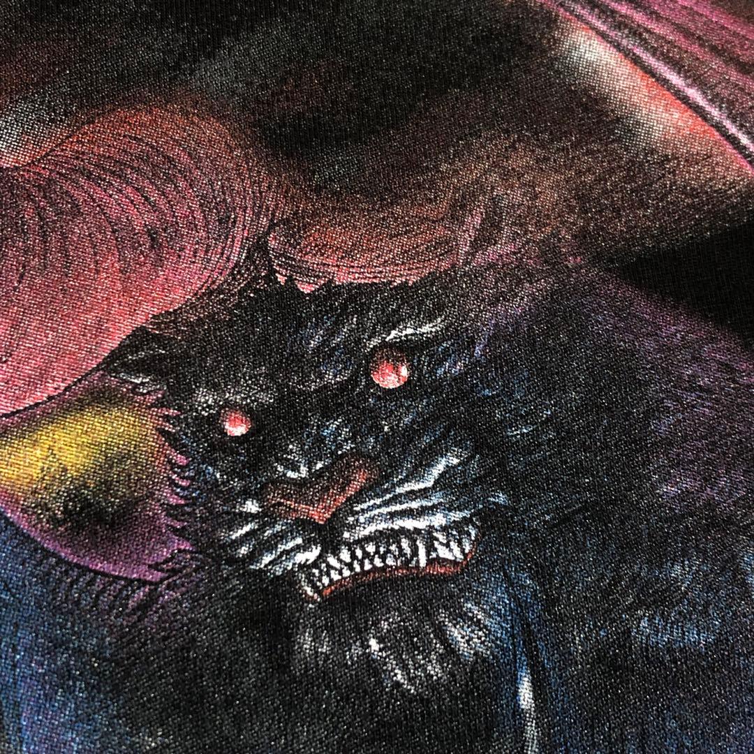 【ロンT】Tシャツ ベルセルク グリフィス 鷹の団 アニメ 漫画 キャスカ 古着