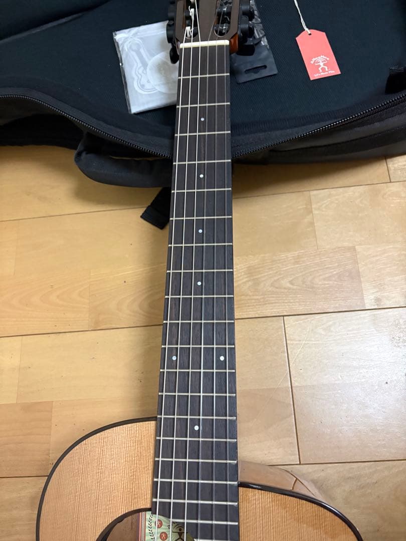 aNueNue MN14E ナイロン弦モデル【値下げしました】