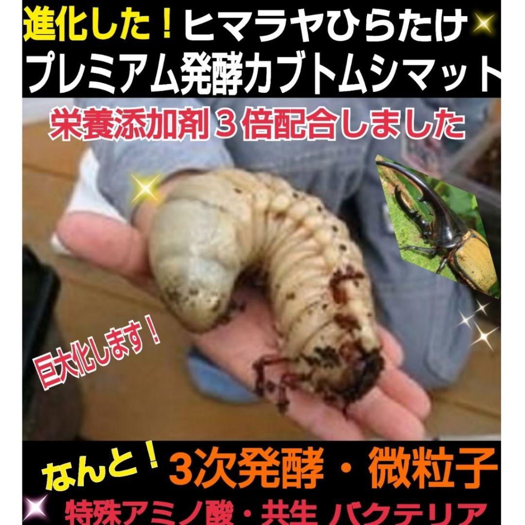 カブトムシ幼虫が大きくなる！プレミアム発酵マット50L特殊アミノ酸配合！産卵にも