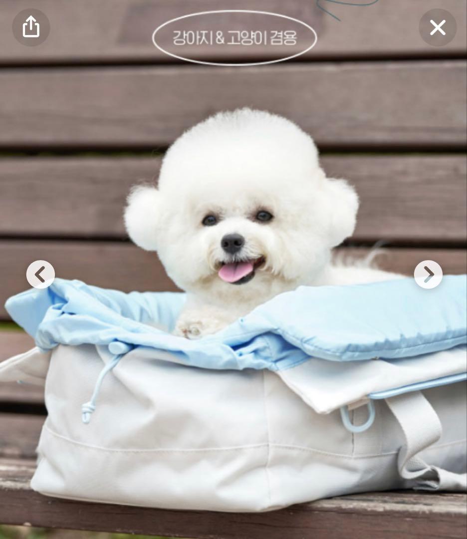 arrr ハグキャリーバッグ